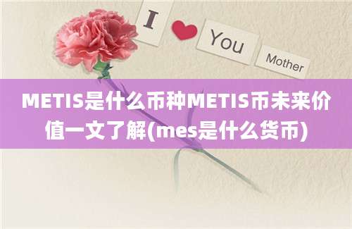 METIS是什么币种METIS币未来价值一文了解(mes是什么货币)