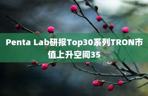 Penta Lab研报Top30系列TRON市值上升空间35