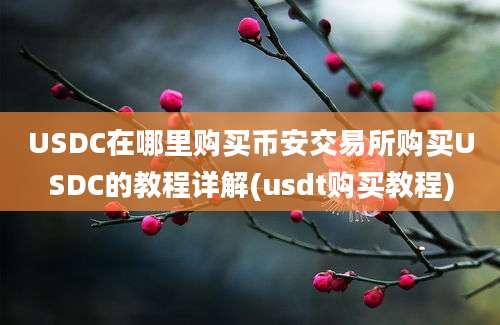 USDC在哪里购买币安交易所购买USDC的教程详解(usdt购买教程)