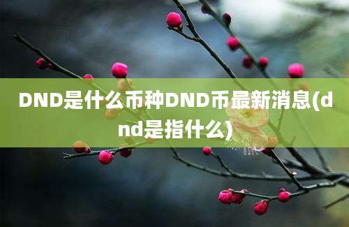 DND是什么币种DND币最新消息(dnd是指什么)