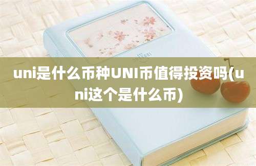 uni是什么币种UNI币值得投资吗(uni这个是什么币)