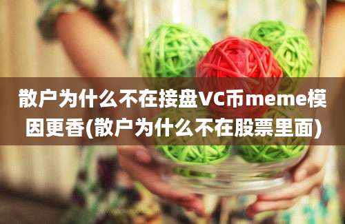 散户为什么不在接盘VC币meme模因更香(散户为什么不在股票里面)