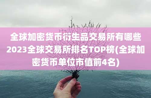 全球加密货币衍生品交易所有哪些2023全球交易所排名TOP榜(全球加密货币单位市值前4名)