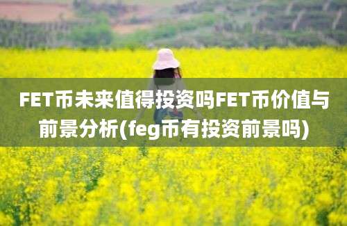 FET币未来值得投资吗FET币价值与前景分析(feg币有投资前景吗)