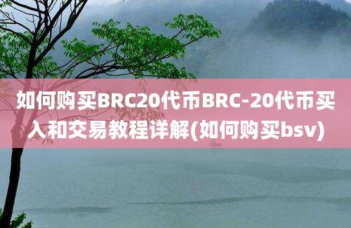 如何购买BRC20代币BRC-20代币买入和交易教程详解(如何购买bsv)