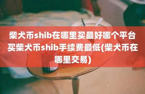 柴犬币shib在哪里买最好哪个平台买柴犬币shib手续费最低(柴犬币在哪里交易)