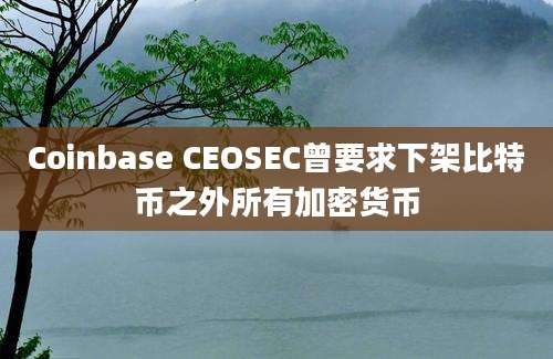 Coinbase CEOSEC曾要求下架比特币之外所有加密货币