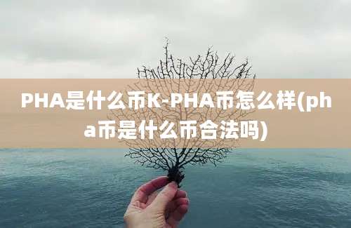 PHA是什么币K-PHA币怎么样(pha币是什么币合法吗)