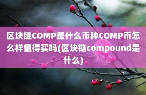 区块链COMP是什么币种COMP币怎么样值得买吗(区块链compound是什么)