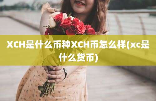 XCH是什么币种XCH币怎么样(xc是什么货币)