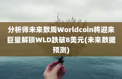 分析师未来数周Worldcoin将迎来巨量解锁WLD跌破8美元(未来数据预测)