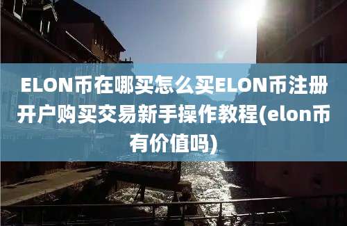 ELON币在哪买怎么买ELON币注册开户购买交易新手操作教程(elon币有价值吗)