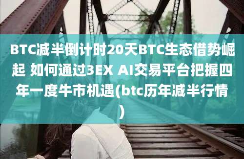 BTC减半倒计时20天BTC生态借势崛起 如何通过3EX AI交易平台把握四年一度牛市机遇(btc历年减半行情)