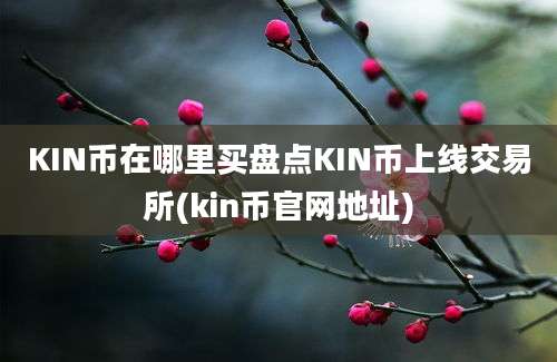 KIN币在哪里买盘点KIN币上线交易所(kin币官网地址)