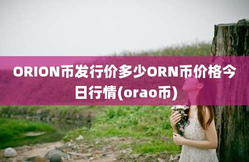 ORION币发行价多少ORN币价格今日行情(orao币)