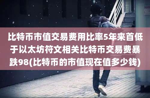 比特币市值交易费用比率5年来首低于以太坊符文相关比特币交易费暴跌98(比特币的市值现在值多少钱)