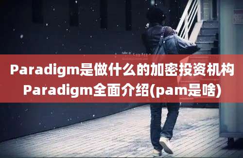 Paradigm是做什么的加密投资机构Paradigm全面介绍(pam是啥)