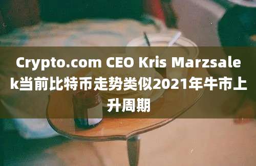 Crypto.com CEO Kris Marzsalek当前比特币走势类似2021年牛市上升周期