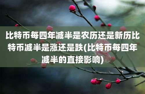 比特币每四年减半是农历还是新历比特币减半是涨还是跌(比特币每四年减半的直接影响)