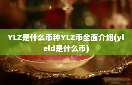 YLZ是什么币种YLZ币全面介绍(yleld是什么币)