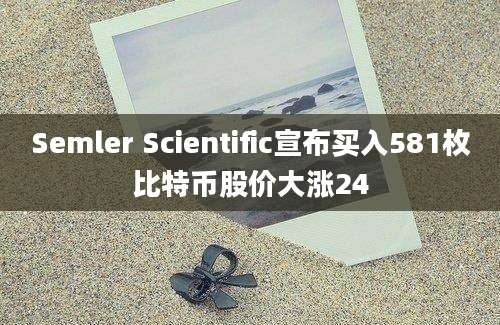 Semler Scientific宣布买入581枚比特币股价大涨24