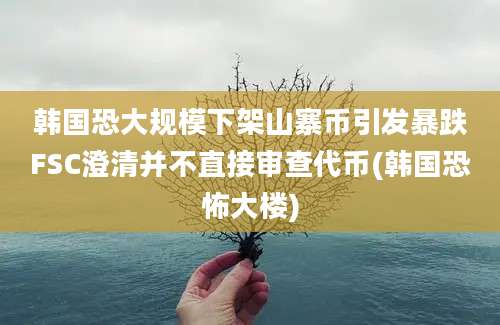 韩国恐大规模下架山寨币引发暴跌FSC澄清并不直接审查代币(韩国恐怖大楼)