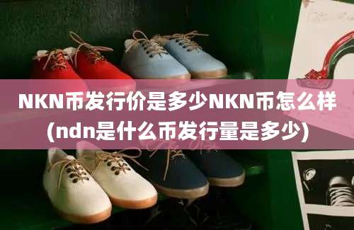 NKN币发行价是多少NKN币怎么样(ndn是什么币发行量是多少)