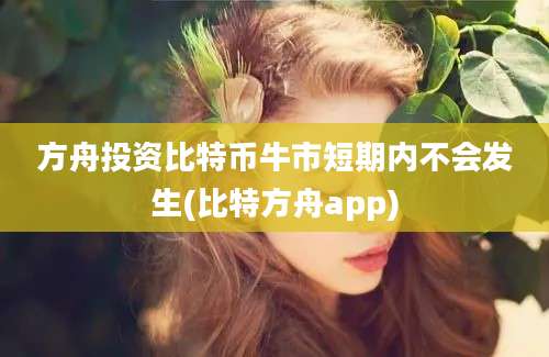 方舟投资比特币牛市短期内不会发生(比特方舟app)