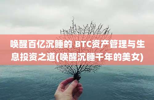 唤醒百亿沉睡的 BTC资产管理与生息投资之道(唤醒沉睡千年的美女)