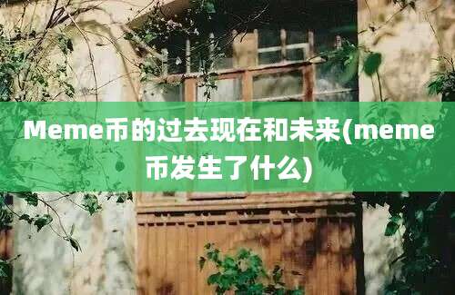 Meme币的过去现在和未来(meme币发生了什么)