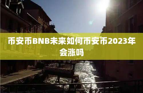 币安币BNB未来如何币安币2023年会涨吗