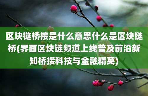 区块链桥接是什么意思什么是区块链桥(界面区块链频道上线普及前沿新知桥接科技与金融精英)