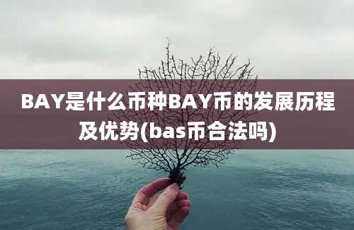 BAY是什么币种BAY币的发展历程及优势(bas币合法吗)