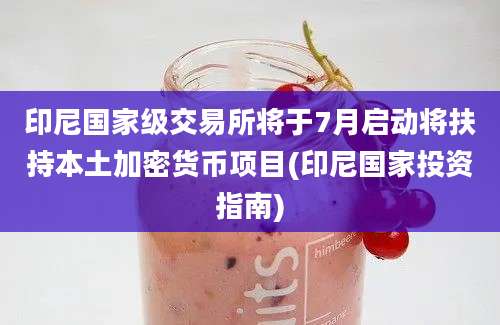 印尼国家级交易所将于7月启动将扶持本土加密货币项目(印尼国家投资指南)