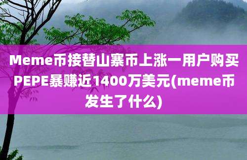 Meme币接替山寨币上涨一用户购买PEPE暴赚近1400万美元(meme币发生了什么)