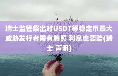 瑞士监管祭出对USDT等稳定币最大威胁发行者需有牌照 利息也要赔(瑞士 声明)