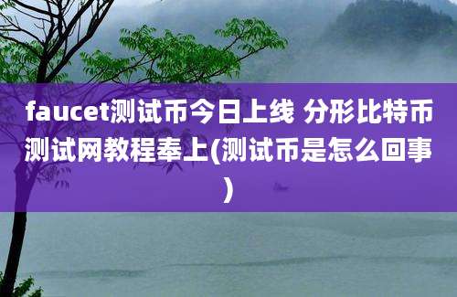 faucet测试币今日上线 分形比特币测试网教程奉上(测试币是怎么回事)