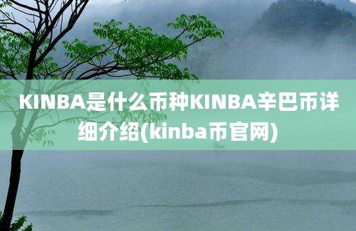 KINBA是什么币种KINBA辛巴币详细介绍(kinba币官网)