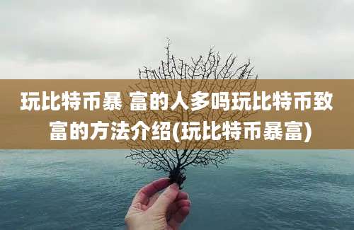 玩比特币暴 富的人多吗玩比特币致 富的方法介绍(玩比特币暴富)