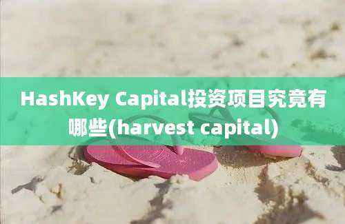 HashKey Capital投资项目究竟有哪些(harvest capital)