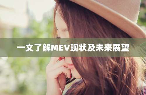 一文了解MEV现状及未来展望