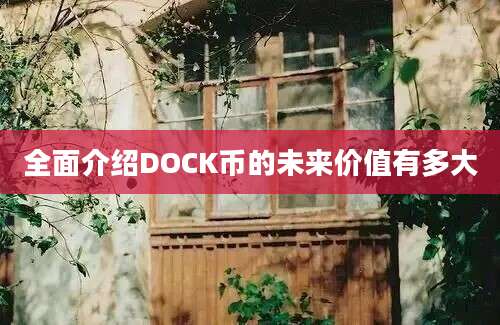 全面介绍DOCK币的未来价值有多大