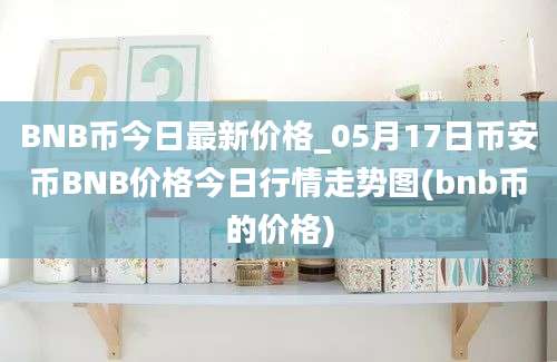 BNB币今日最新价格_05月17日币安币BNB价格今日行情走势图(bnb币的价格)