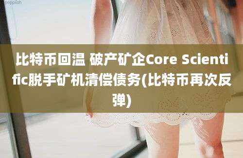 比特币回温 破产矿企Core Scientific脱手矿机清偿债务(比特币再次反弹)