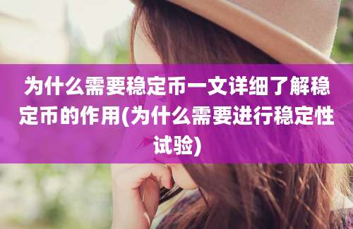 为什么需要稳定币一文详细了解稳定币的作用(为什么需要进行稳定性试验)