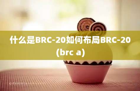 什么是BRC-20如何布局BRC-20(brc a)