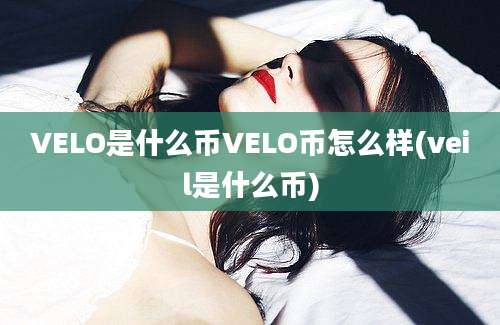 VELO是什么币VELO币怎么样(veil是什么币)