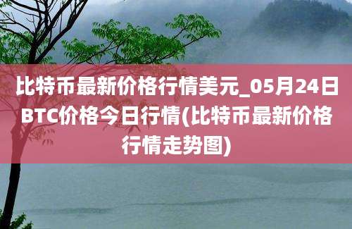 比特币最新价格行情美元_05月24日BTC价格今日行情(比特币最新价格行情走势图)