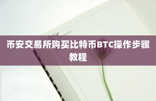 币安交易所购买比特币BTC操作步骤教程