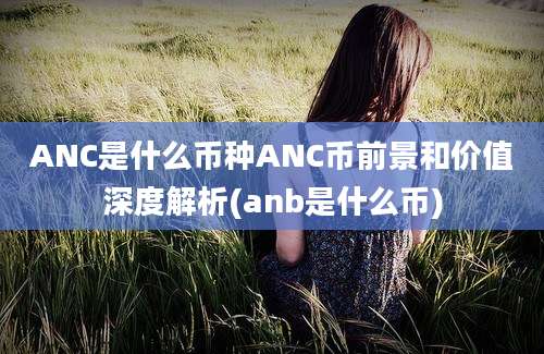 ANC是什么币种ANC币前景和价值深度解析(anb是什么币)